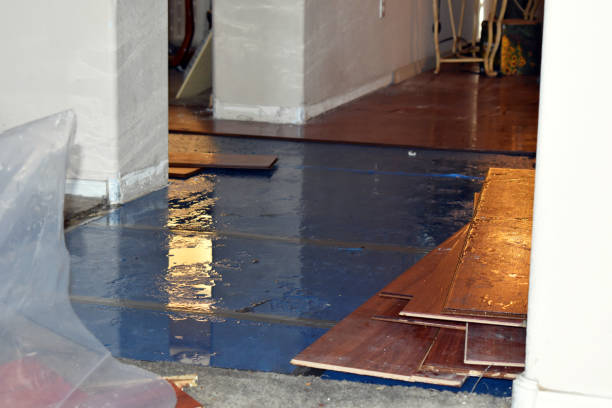Professional Water Damage technician working in Perth Amboy, NJ