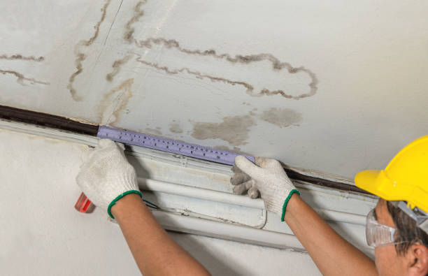 Reliable Water Damage contractor in Perth Amboy, NJ by Water Damage Irwin